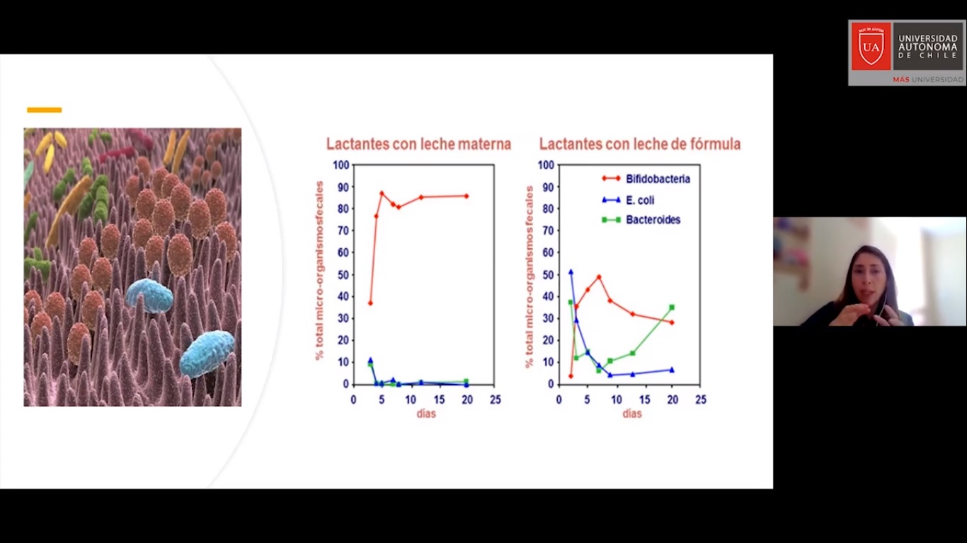 Charla Lact Materna Covid 19 Nutricion 3