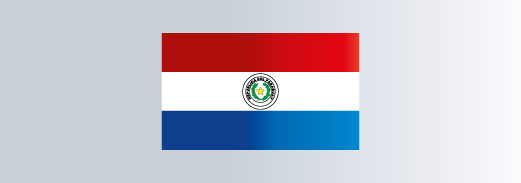 Universidad Autónoma del Paraguay
