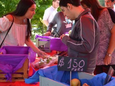 Terapia Ocupacional y COSAM Talca realizaron feria laboral inclusiva