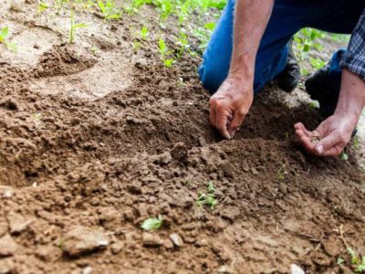 Agricultores de La Costa se capacitarán gracias a programa piloto del Gobierno Regional en La Araucanía 