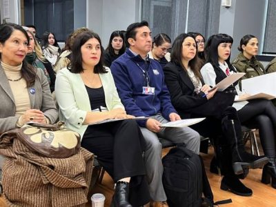 Buscan concientizar sobre violencia de género en La Araucanía, a través de seminario multisectorial