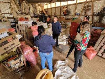 Gobierno Regional extiende plazo de concurso a pequeños productores agrícolas de la Costa Araucanía