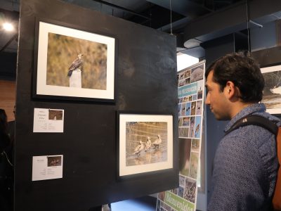 Exposición de Arte: Preservación de Humedales invita a reflexionar sobre el cuidado hacia el medioambiente