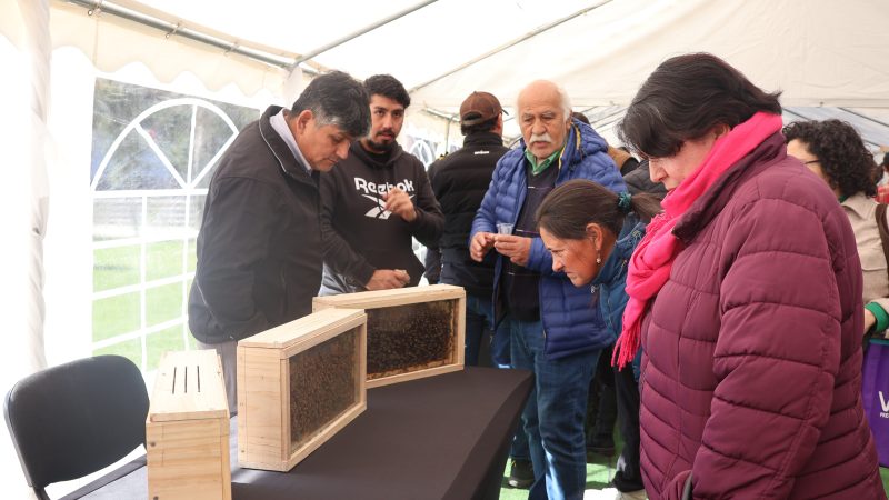 Expo Apícola Temuco resaltó beneficios de la miel para la salud