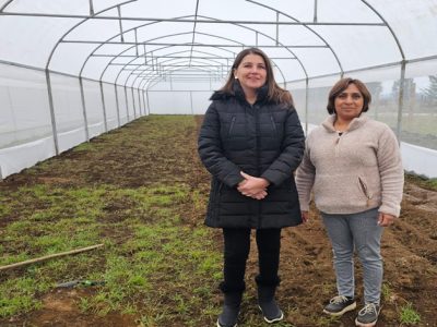 Programa del Gobierno Regional potencia emprendimientos femeninos en la Costa Araucanía