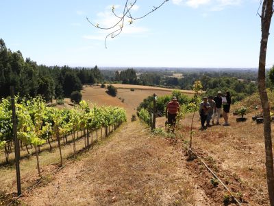 Gobierno Regional lideró programa de Reconversión Forestal para 70 Agricultores de Imperial, Carahue, Saavedra, Teodoro Schmidt Y Toltén