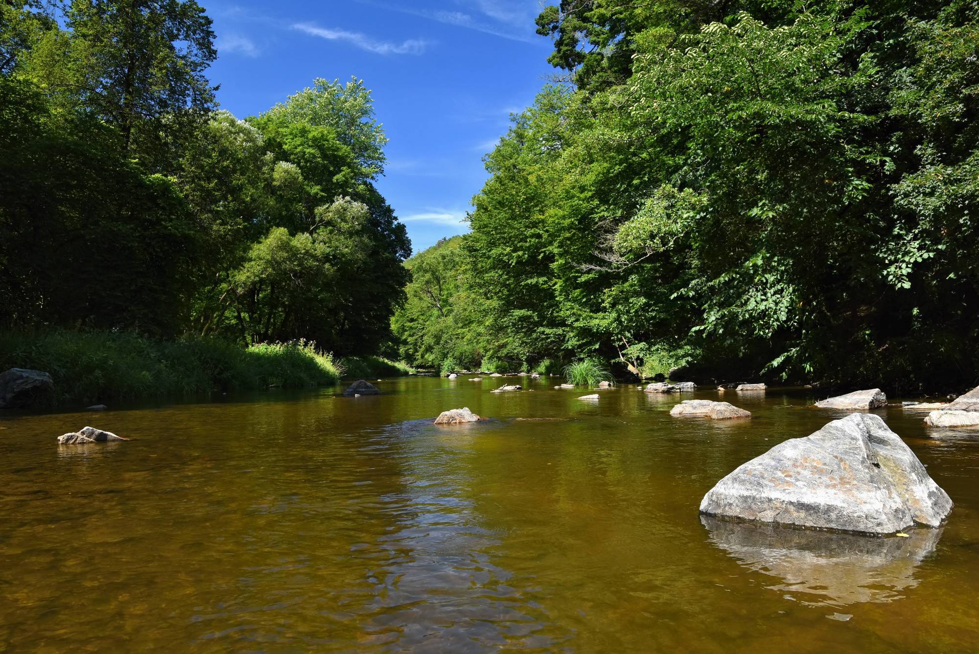 Proyecto pionero de la U. Autónoma busca evaluar la calidad y cantidad de agua de la Cuenca del Río Claro